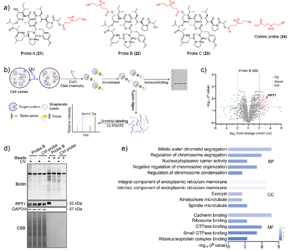 6.png 6.png